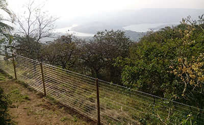Green Dot Fencing - Wire Fencing